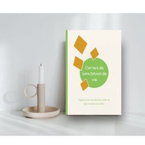 Couverture de carnet de jeu de simulation de vie