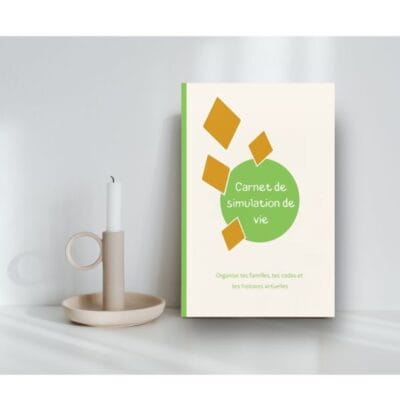 Couverture de carnet de jeu de simulation de vie
